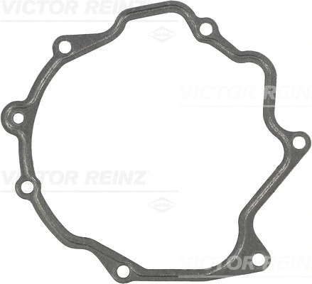 Gasket, vacuum pump (WG1247100)