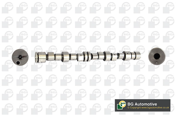 Camshaft (WG1490579)