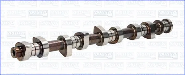 Camshaft (WG1456833)
