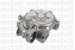 Water Pump, engine cooling (WG1790409)