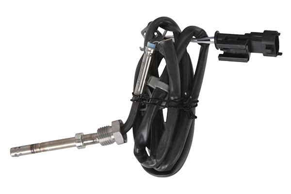 Sensor, exhaust gas temperature (WG2295837)