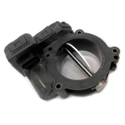 Throttle Body (WG1487776)