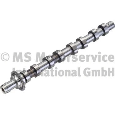 Camshaft (WG1017830)