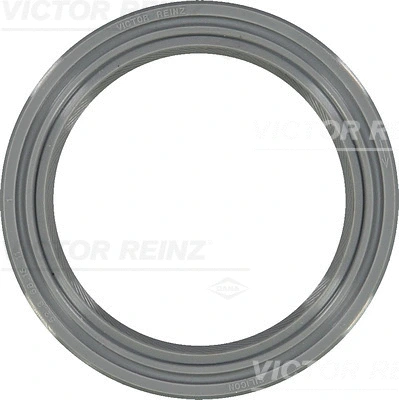 Shaft Seal, crankshaft (WG1249995)