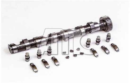 Camshaft Kit (WG2010552)