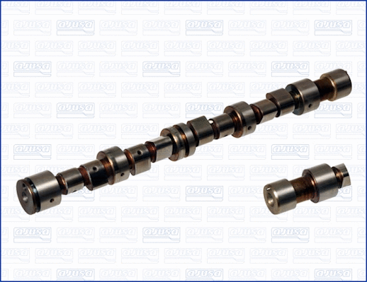 Camshaft (WG1170863)