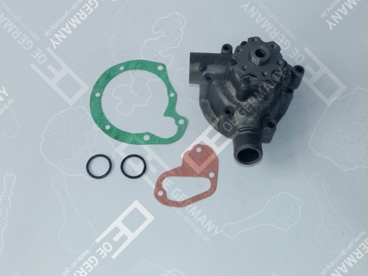 Water Pump, engine cooling (WG1484960)