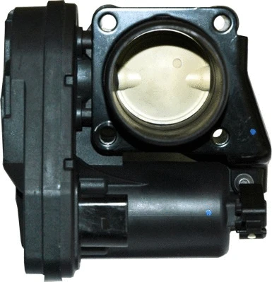 Throttle Body (WG1013562)