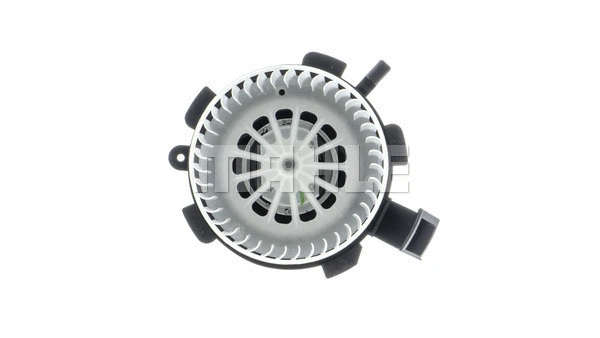 Interior Blower