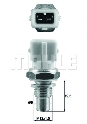 Sensor, coolant temperature (WG1789660)