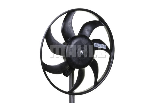 Fan, engine cooling
