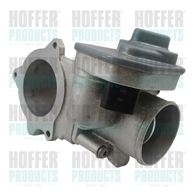 Throttle Body (WG1903848)