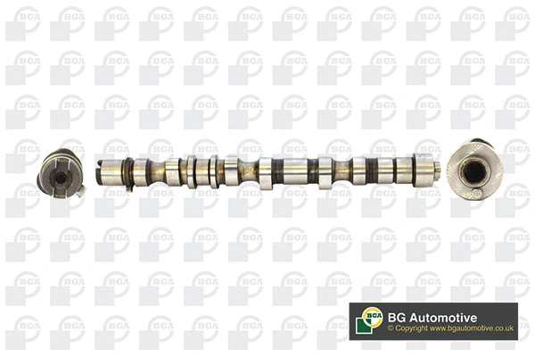 Camshaft (WG1490455)