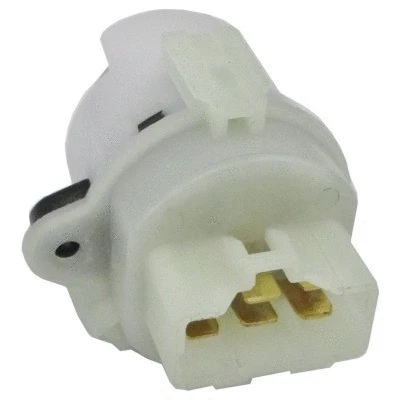 Ignition Switch (WG1963693)