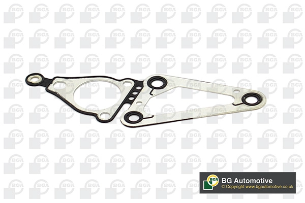 Gasket, timing case (WG1769093)