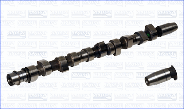Camshaft (WG1171007)