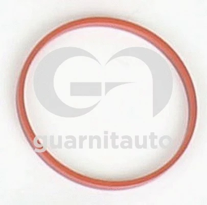 Gasket, intake manifold (WG2134804)