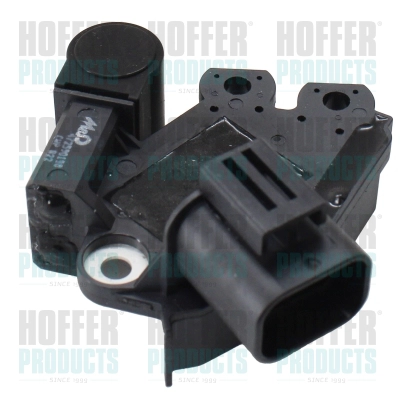 Alternator Regulator (WG2262780)