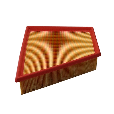 Air Filter (WG2152046)