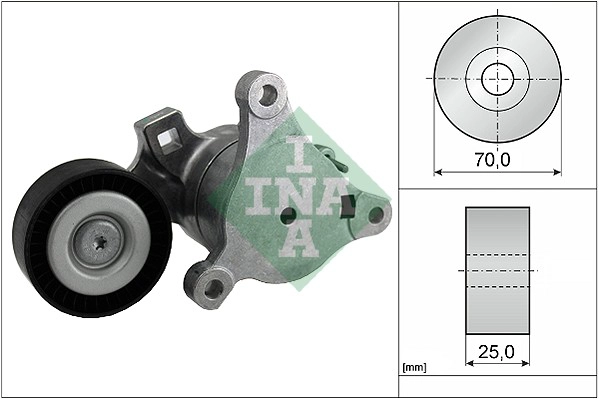 Belt Tensioner, V-ribbed belt (WG1253519)