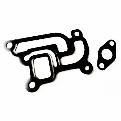 Gasket, EGR valve (WG2262118)