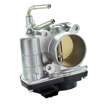 Throttle Body (WG1889566)