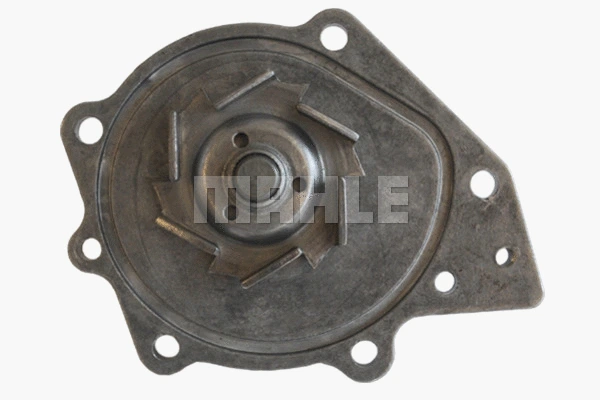 Water Pump, engine cooling (WG2182026)