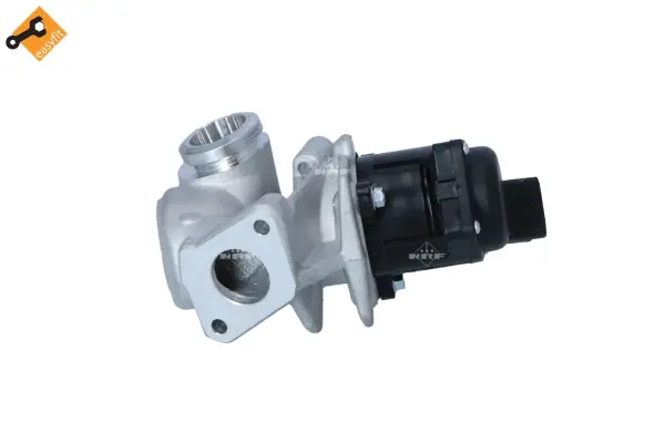 EGR Valve (WG2161805)