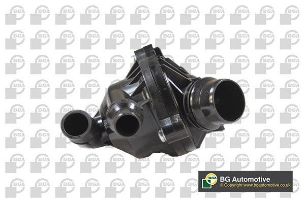 Thermostat, coolant (WG1991890)