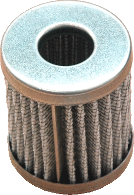 Fuel Filter (WG1748103)