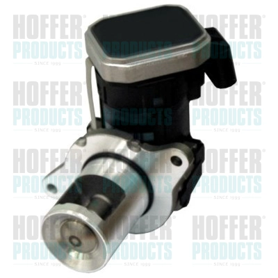 EGR Valve (WG1408713)