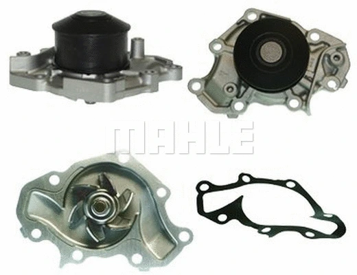 Water Pump, engine cooling (WG2181664)