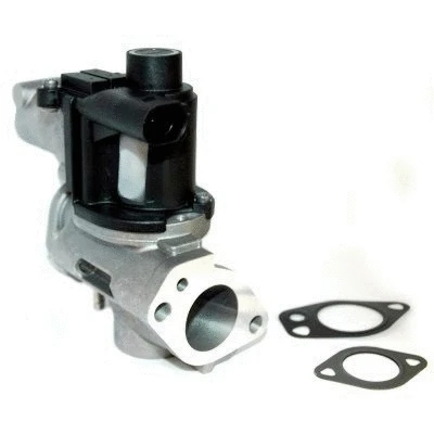 EGR Valve (WG1015373)