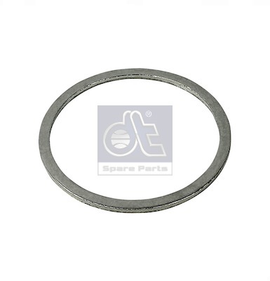 Seal Ring, steering knuckle (WG2325328)