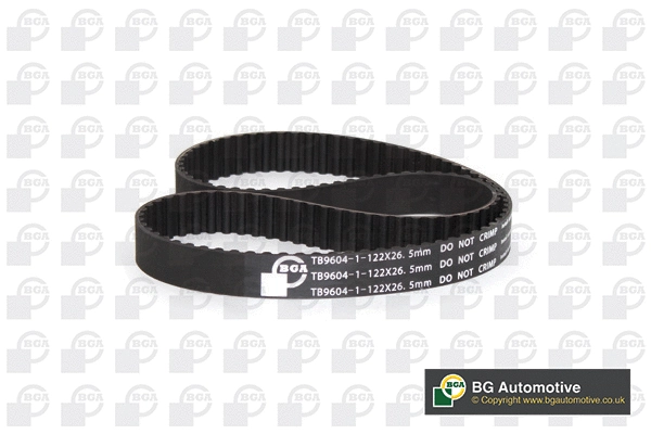 Timing Belt (WG2258723)