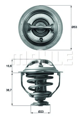 Thermostat, coolant (WG1217872)