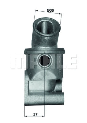 Thermostat, coolant (WG1217711)