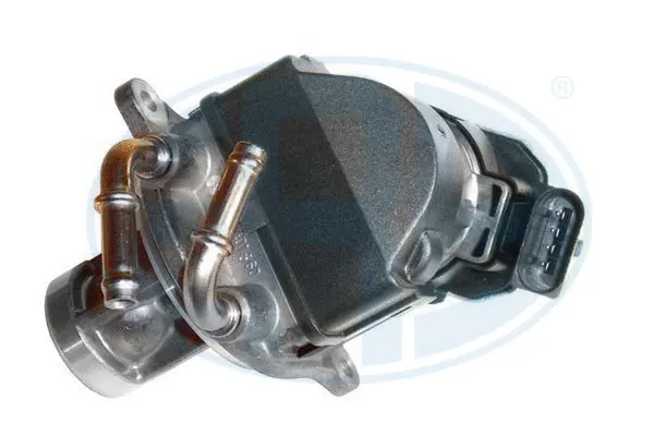 EGR Valve (WG1494531)