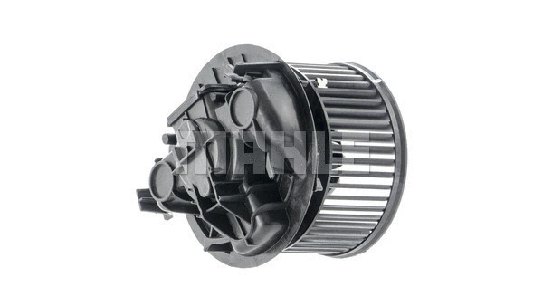 Interior Blower