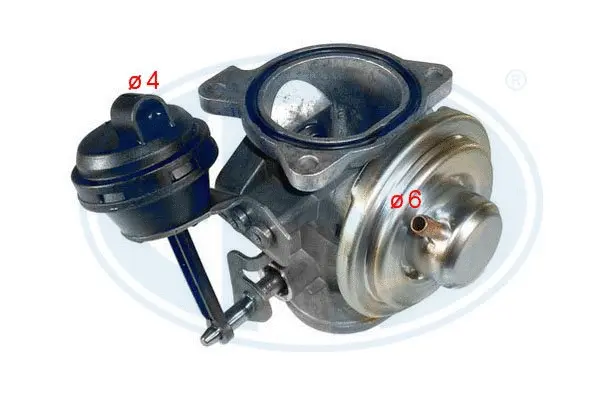 EGR Valve (WG1494525)
