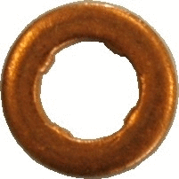 Seal Ring, nozzle holder (WG1012113)