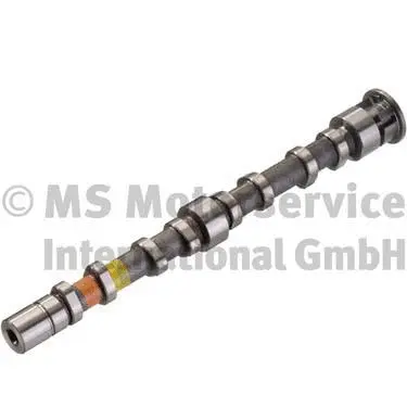 Camshaft (WG1281951)