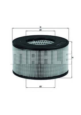 Air Filter (WG1215831)