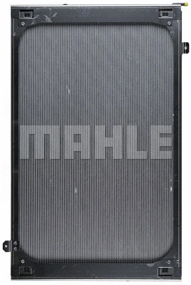 Radiator, engine cooling (WG2183943)