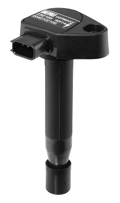 Ignition Coil (WG1487627)
