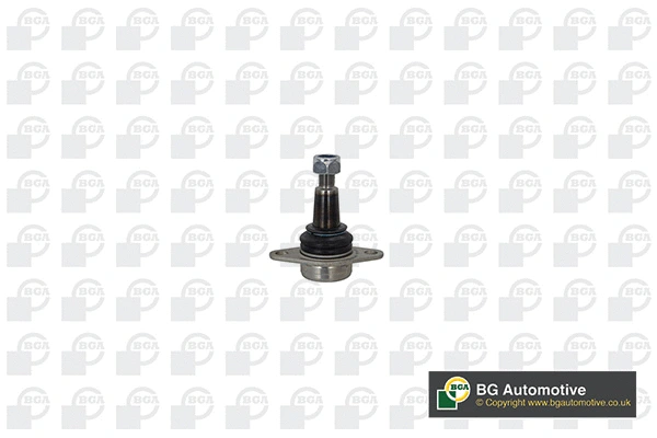 Ball Joint (WG1994403)