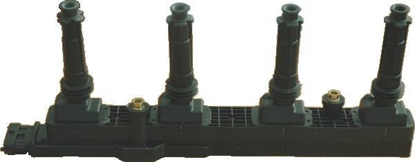 Ignition Coil (WG1012296)