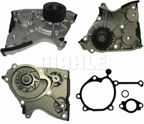 Water Pump, engine cooling (WG2181528)