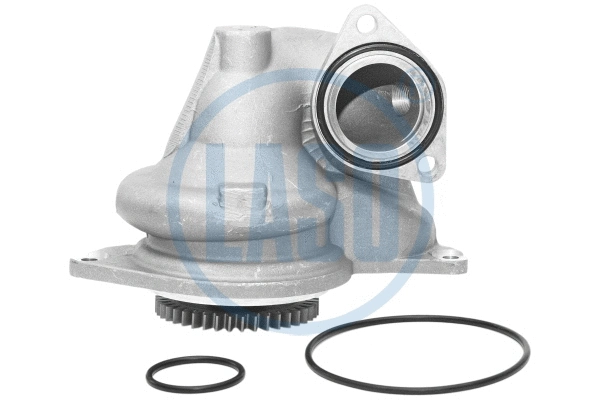 Water Pump, engine cooling (WG1709922)