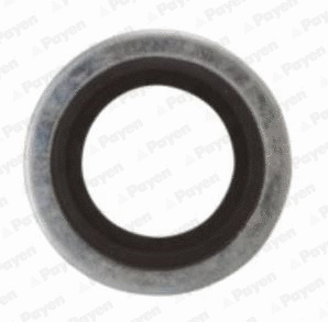 Seal Ring, oil drain plug (WG1091089)